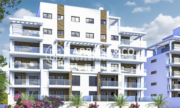 Apartment - New build - Pilar de la Horadada - ONR-20651