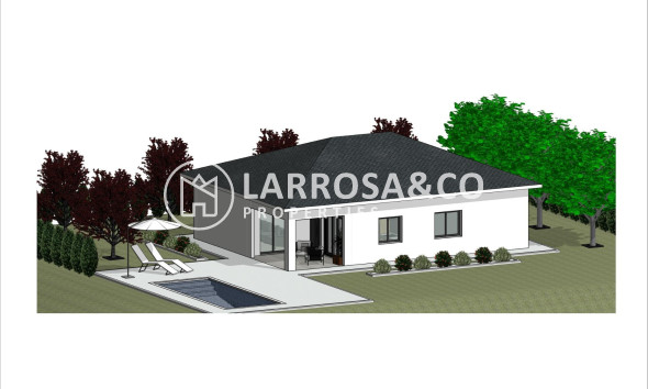 New build - Detached House/Villa - Pinoso - Lel