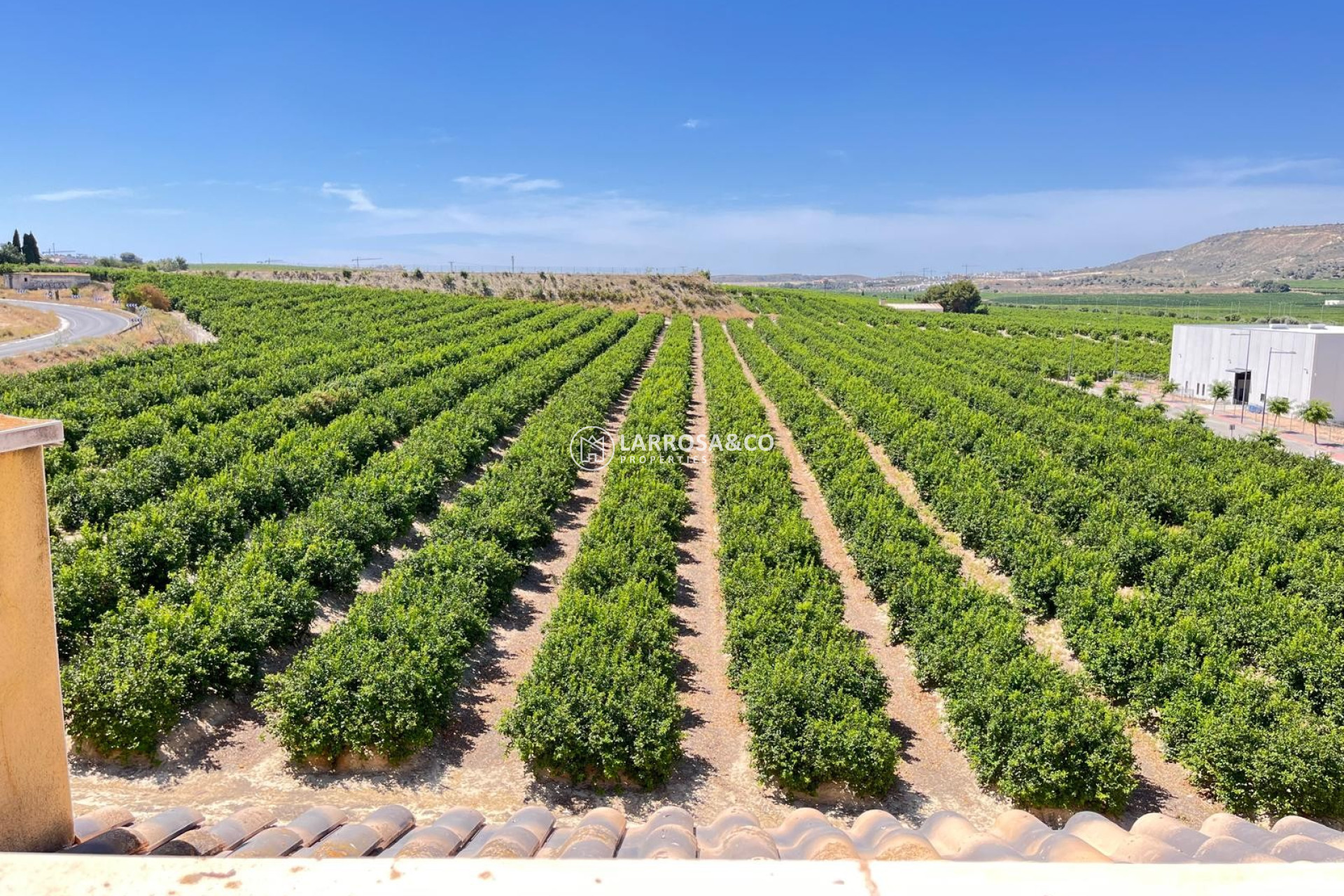 A Vendre - Apartment - Algorfa - Inland