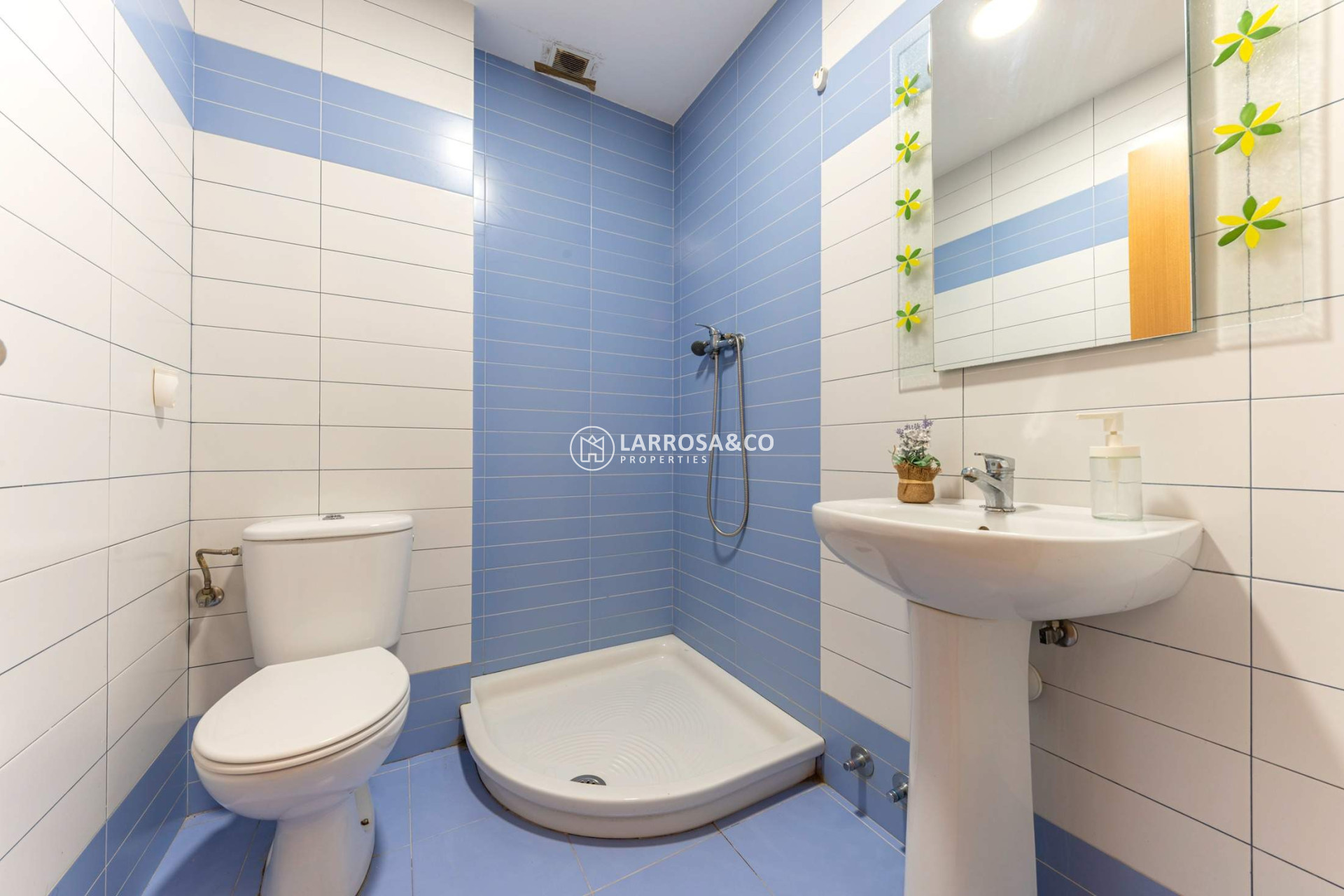 A Vendre - Apartment - Alicante - Carolinas Bajas