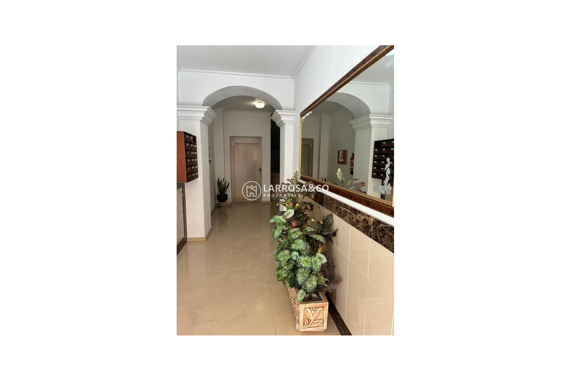 A Vendre - Apartment - Almoradí - Costa Blanca