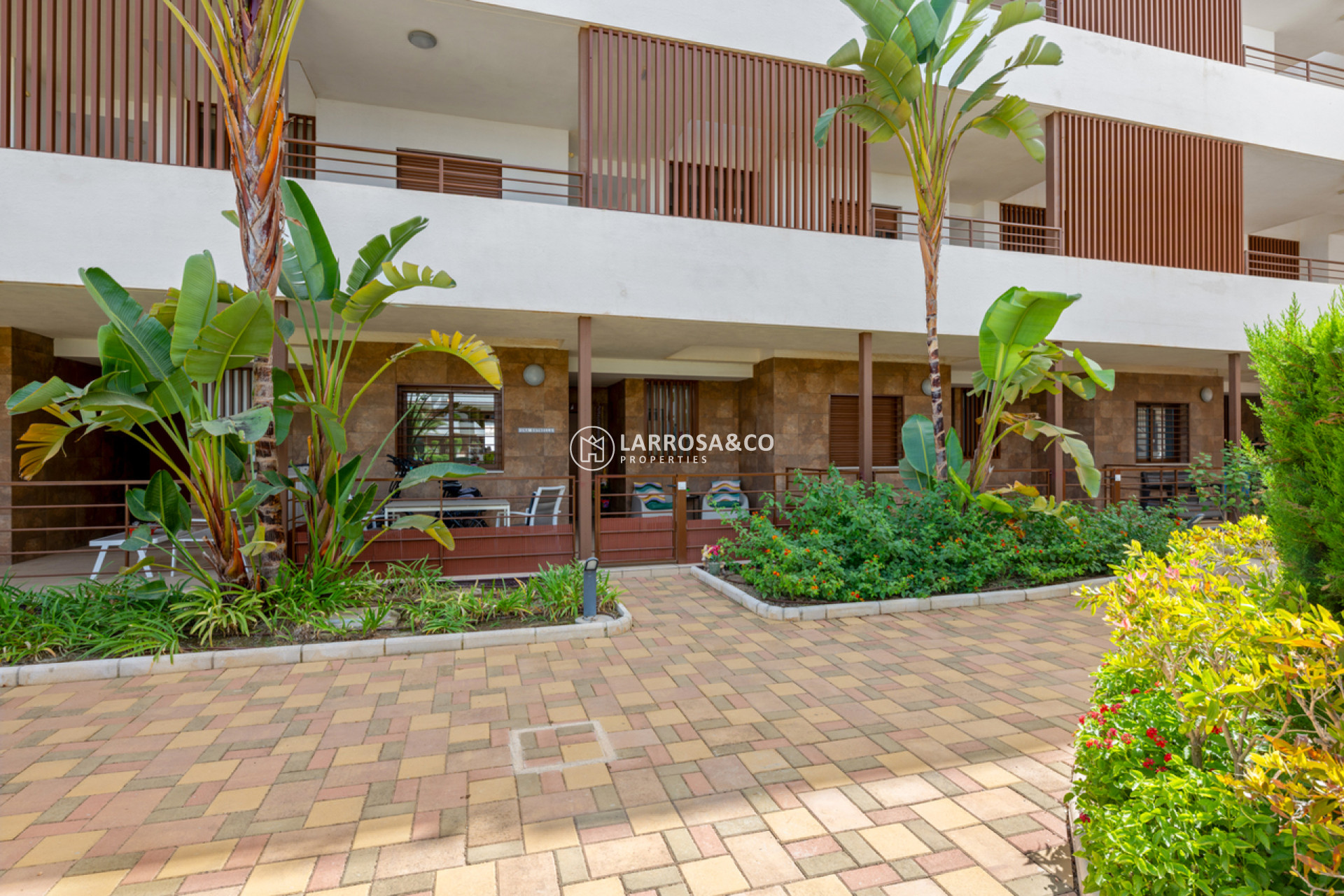 A Vendre - Apartment - Cabo Roig - Costa blanca