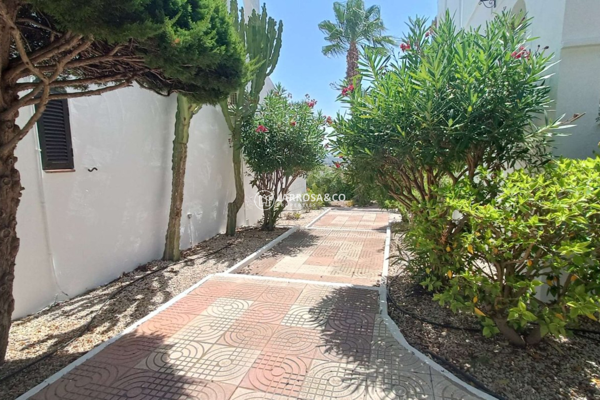A Vendre - Apartment - Ciudad Quesada - Costa Blanca