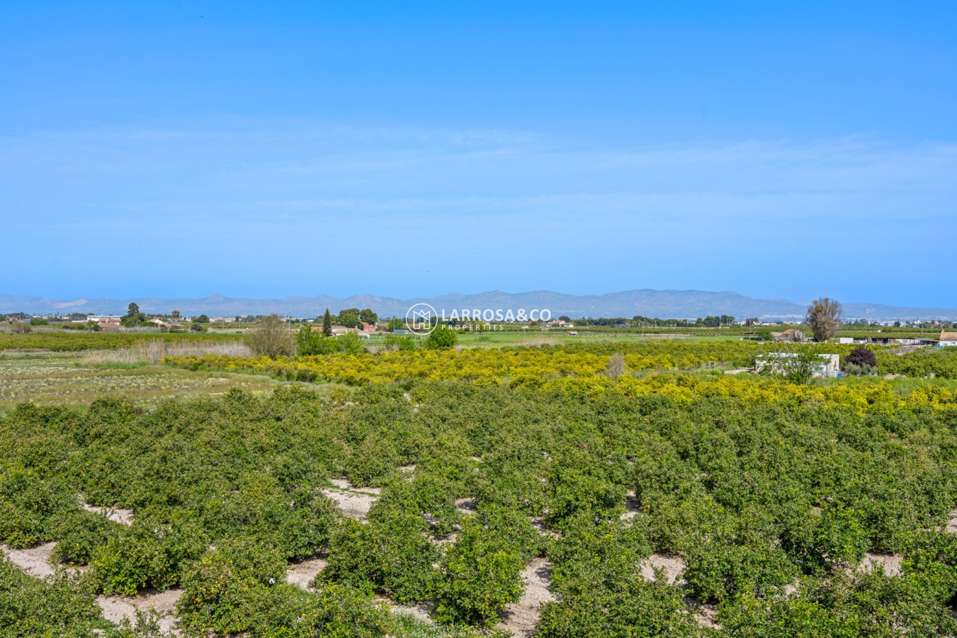 A Vendre - Apartment - Daya Nueva - Costa Blanca