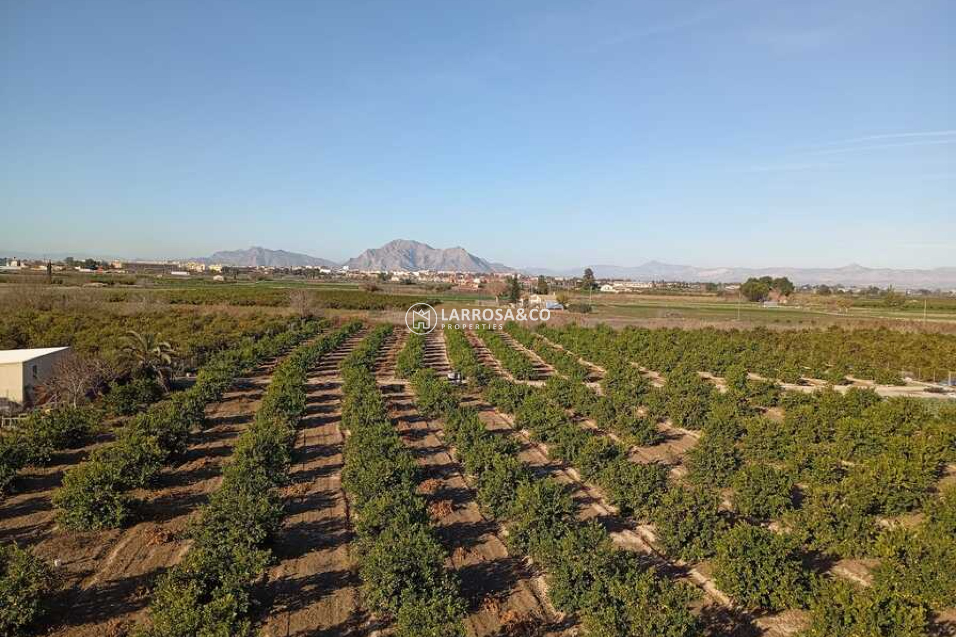 A Vendre - Apartment - Daya Nueva - Costa Blanca