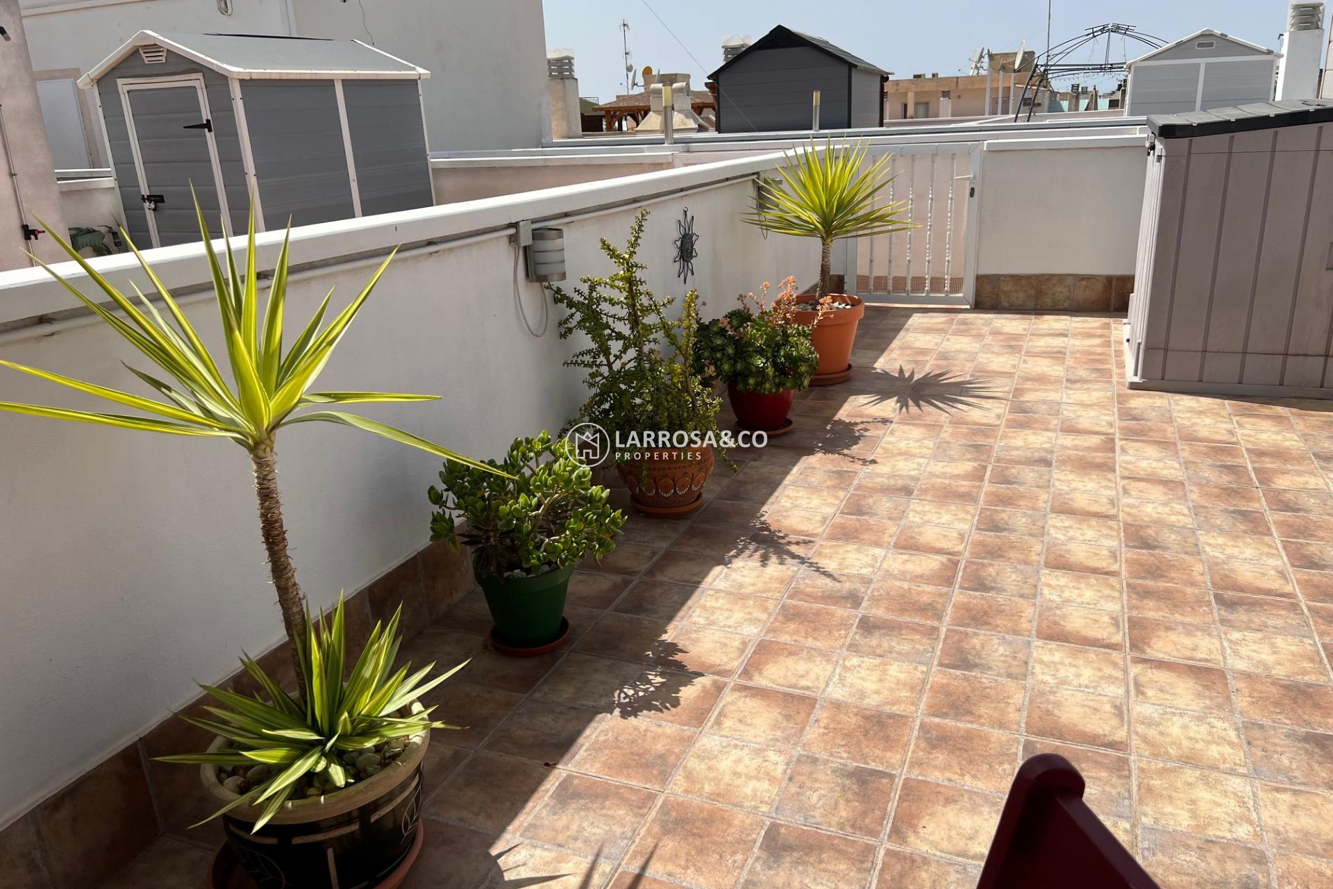 A Vendre - Apartment - Dolores - Comunidad valenciana