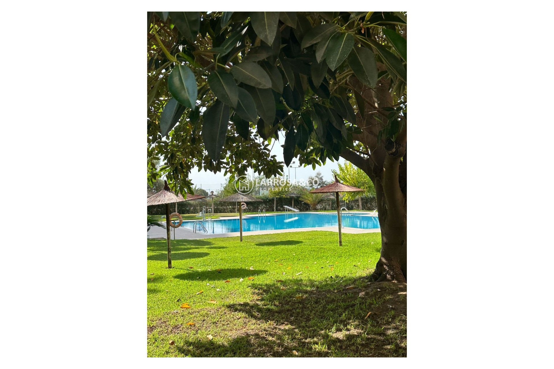 A Vendre - Apartment - Guardamar del Segura - Avenida del Puerto