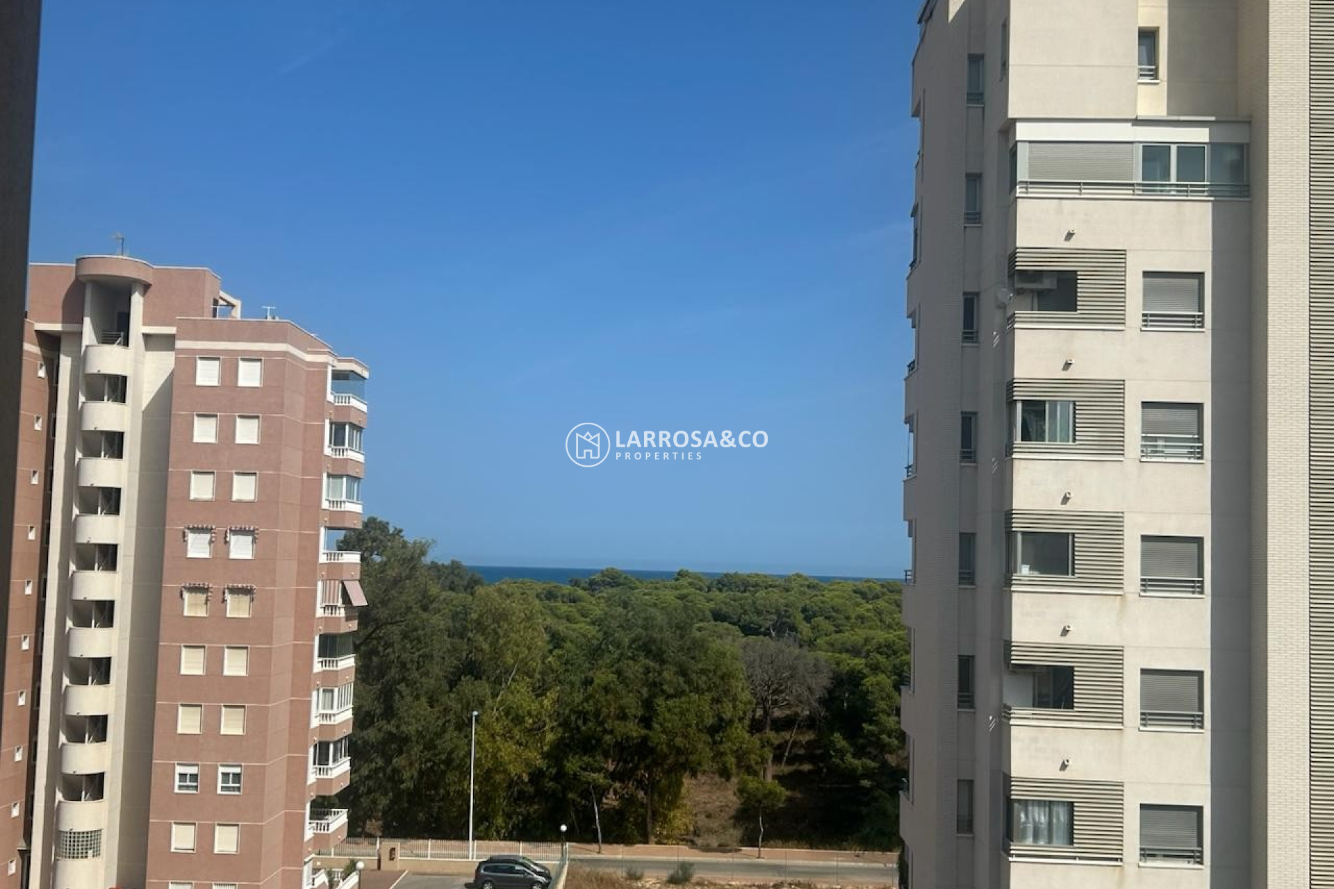 A Vendre - Apartment - Guardamar del Segura - Avenida del Puerto
