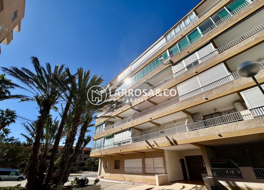 A Vendre - Apartment - Guardamar del Segura - Costa Blanca
