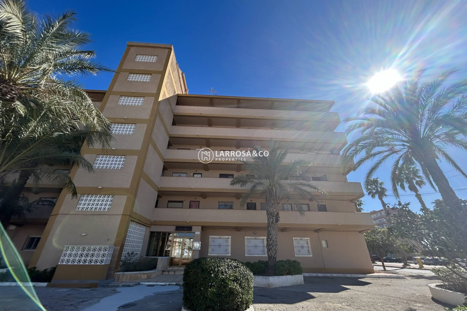 A Vendre - Apartment - Guardamar del Segura - Costa Blanca