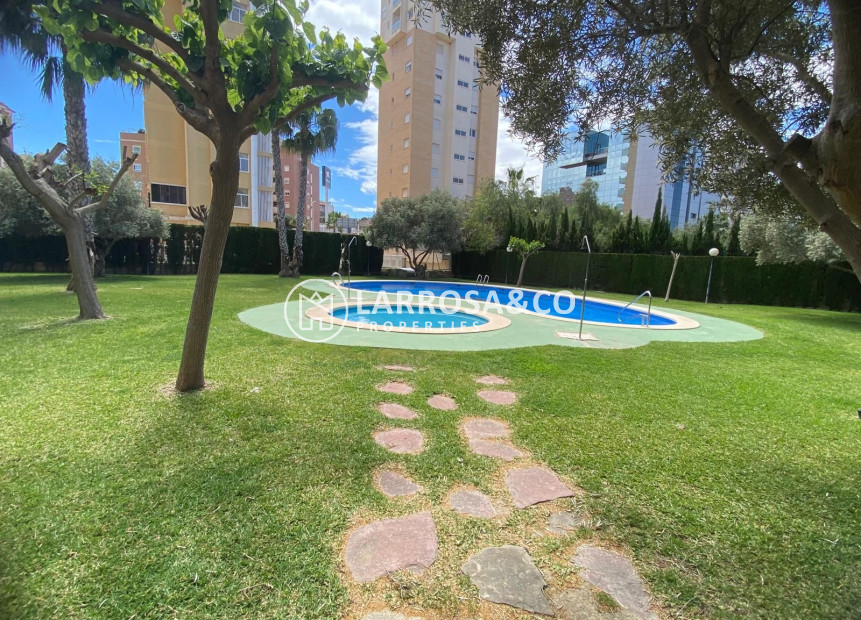 A Vendre - Apartment - Guardamar del Segura - Costa Blanca