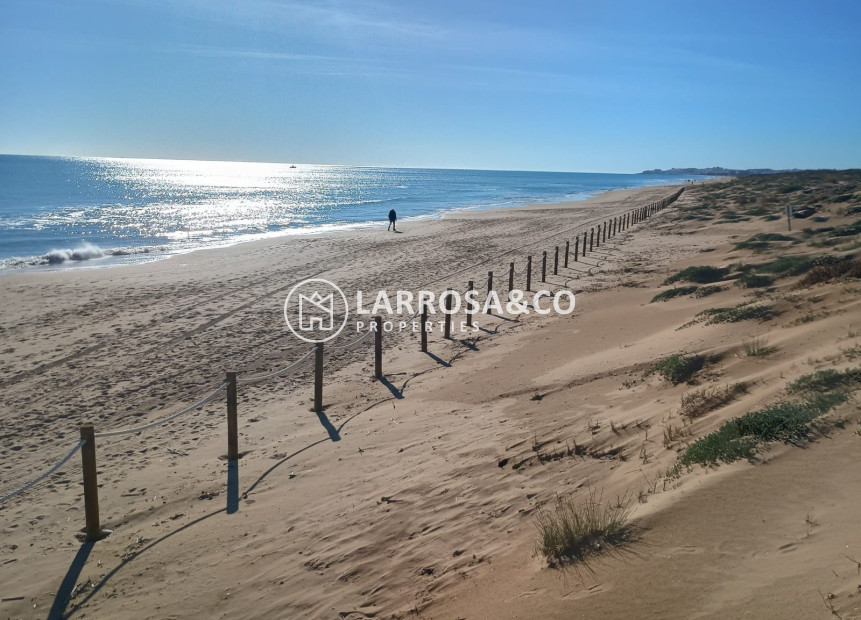 A Vendre - Apartment - Guardamar del Segura - Costa Blanca