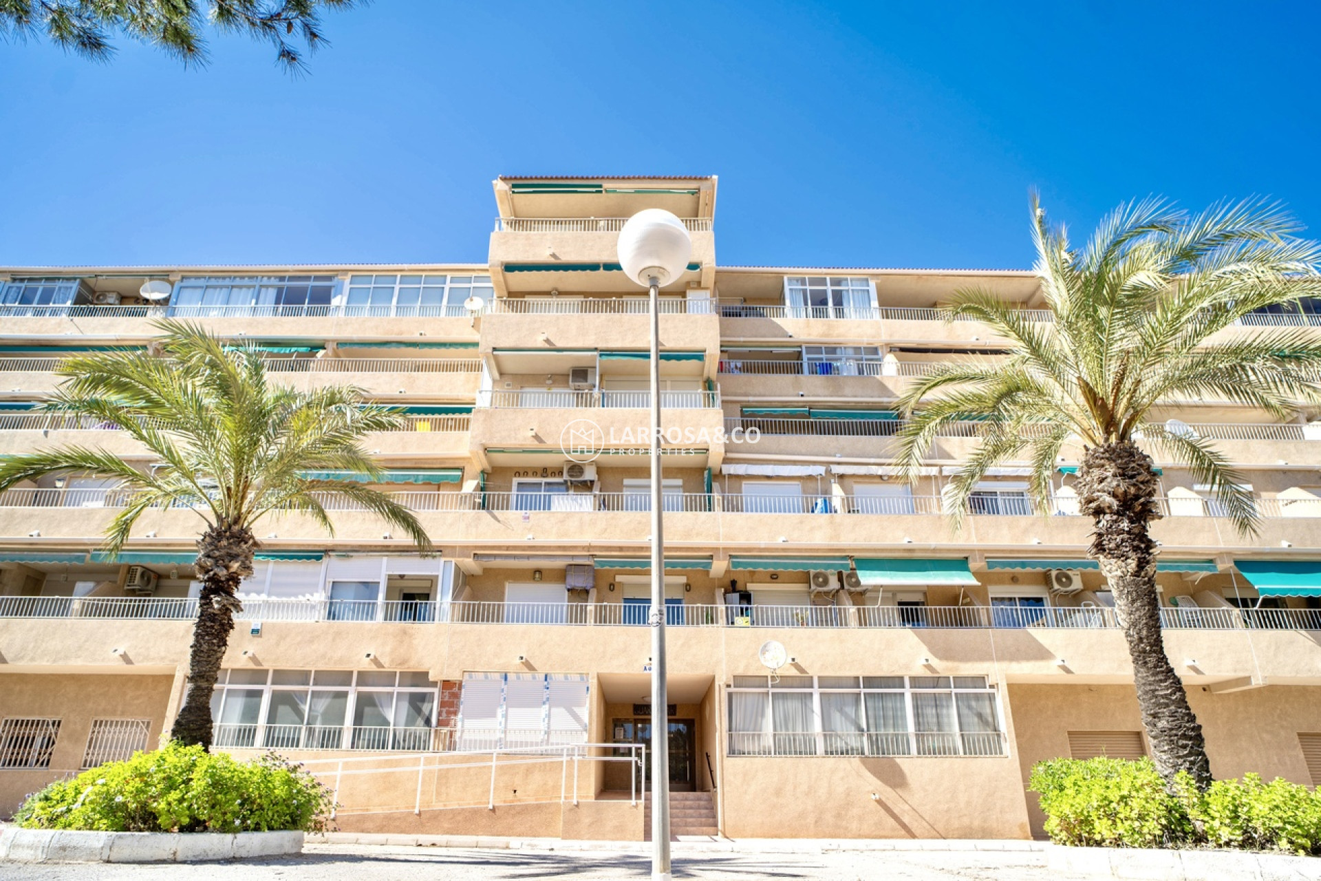 A Vendre - Apartment - Guardamar del Segura - Costa Blanca