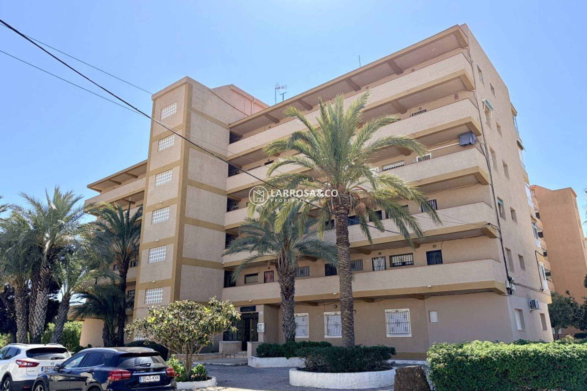 A Vendre - Apartment - Guardamar del Segura - Costa Blanca