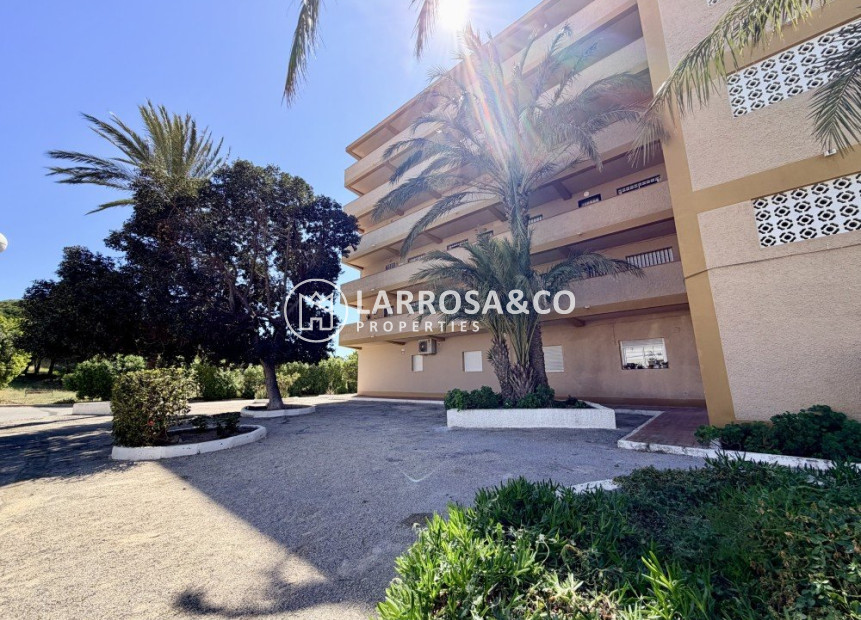 A Vendre - Apartment - Guardamar del Segura - Costa Blanca