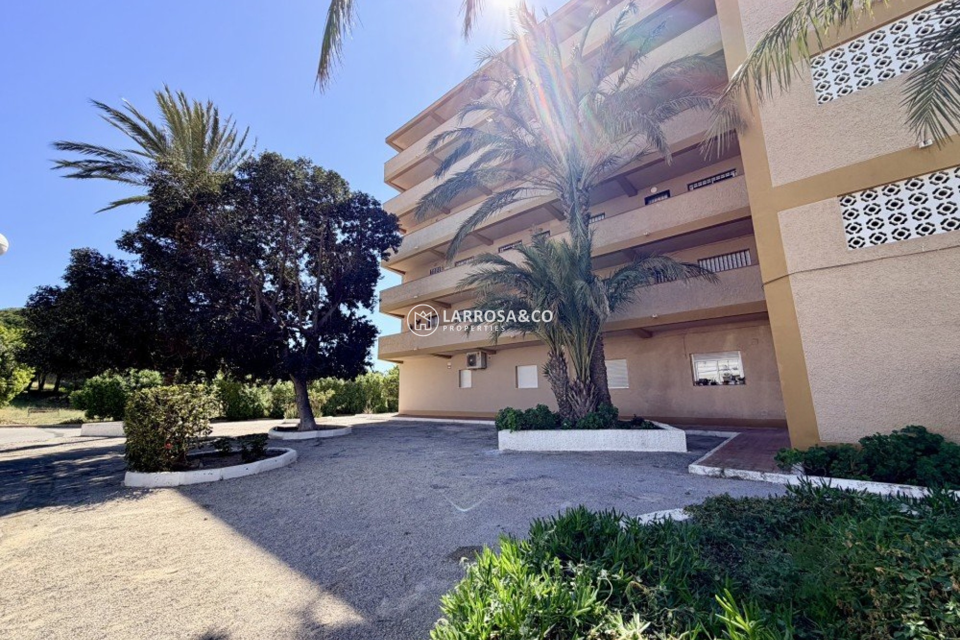 A Vendre - Apartment - Guardamar del Segura - Costa Blanca