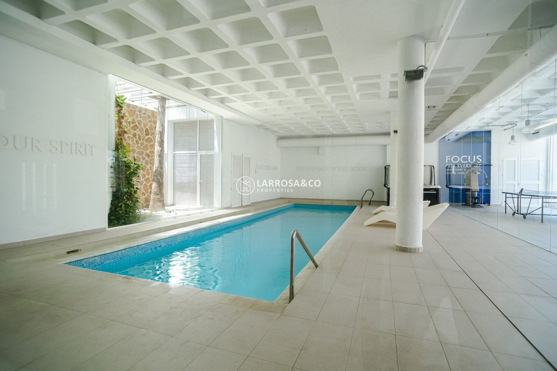 A Vendre - Apartment - Guardamar del Segura - Costa Blanca