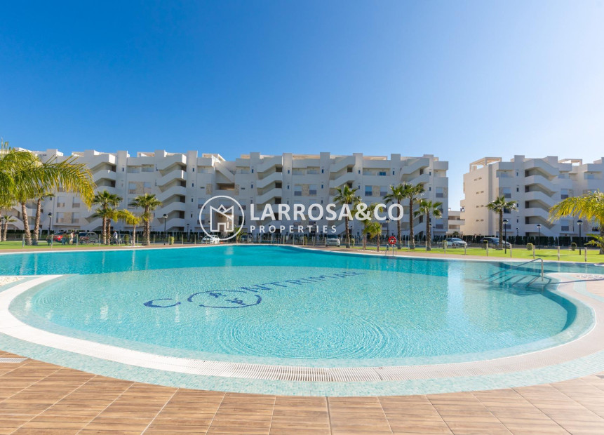 A Vendre - Apartment - Guardamar del Segura - El Raso