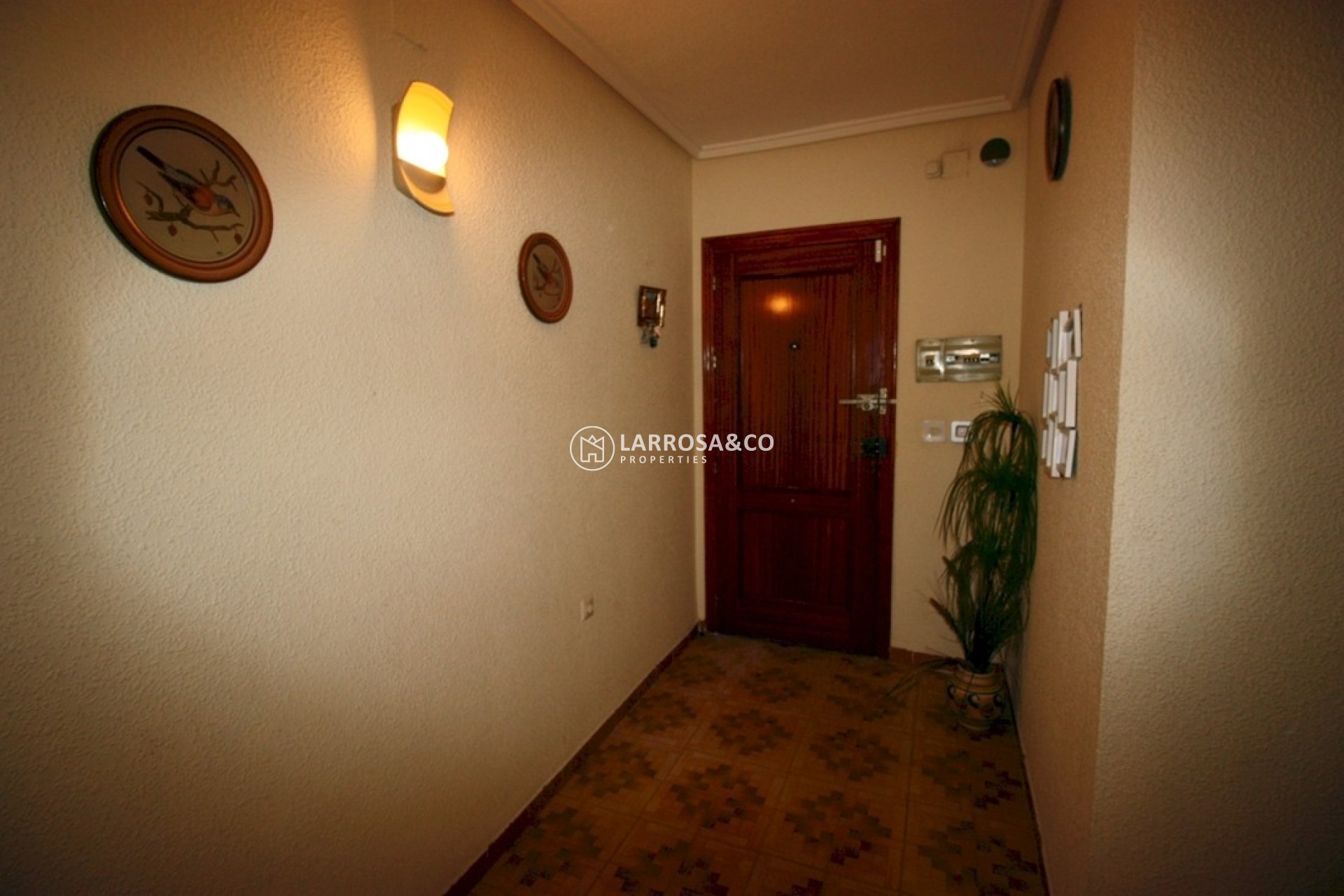 A Vendre - Apartment - Guardamar del Segura - Playa centro