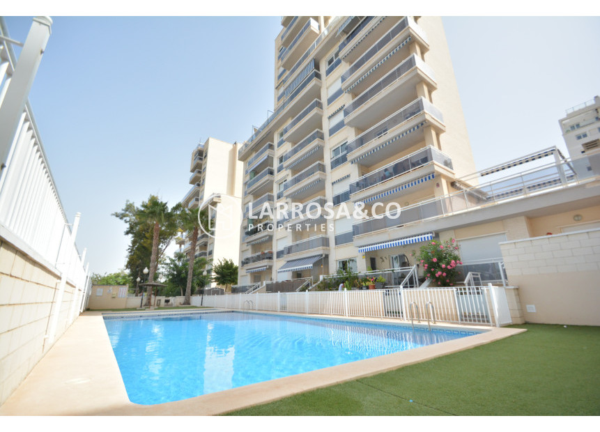 A Vendre - Apartment - Guardamar del Segura - SUP 7