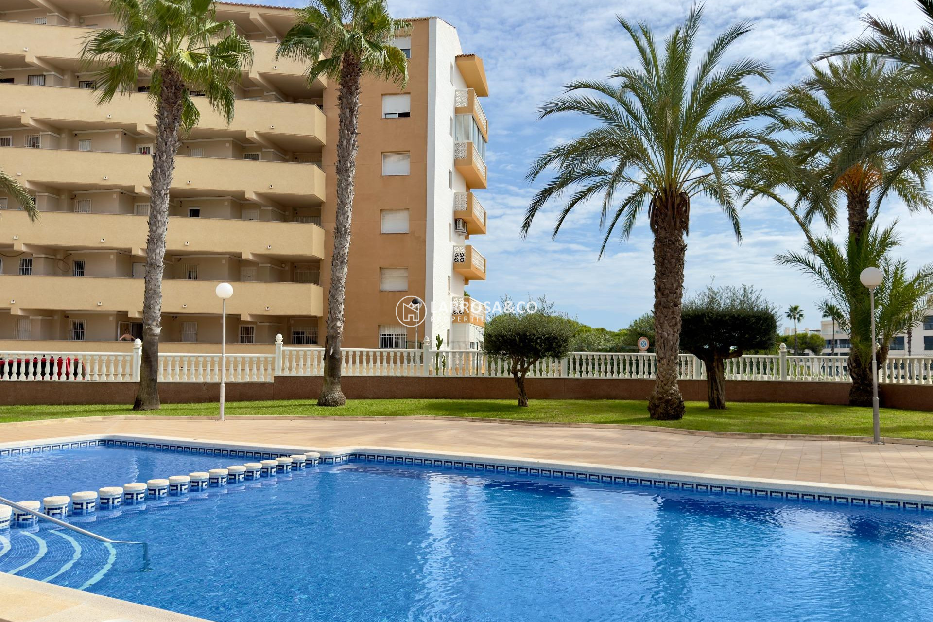 A Vendre - Apartment - Guardamar del Segura - Urbanizaciones