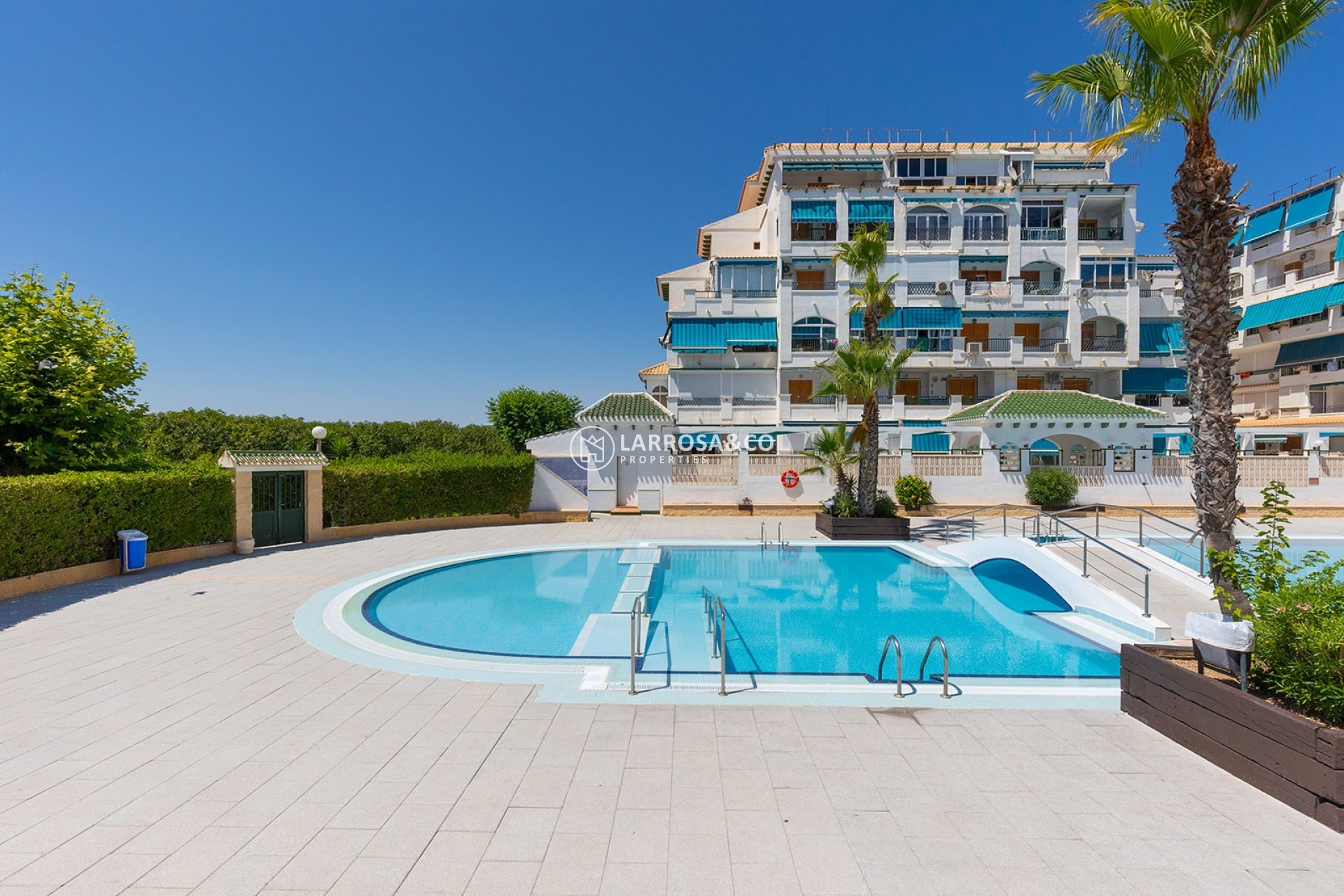 A Vendre - Apartment - La Mata - Costa Blanca