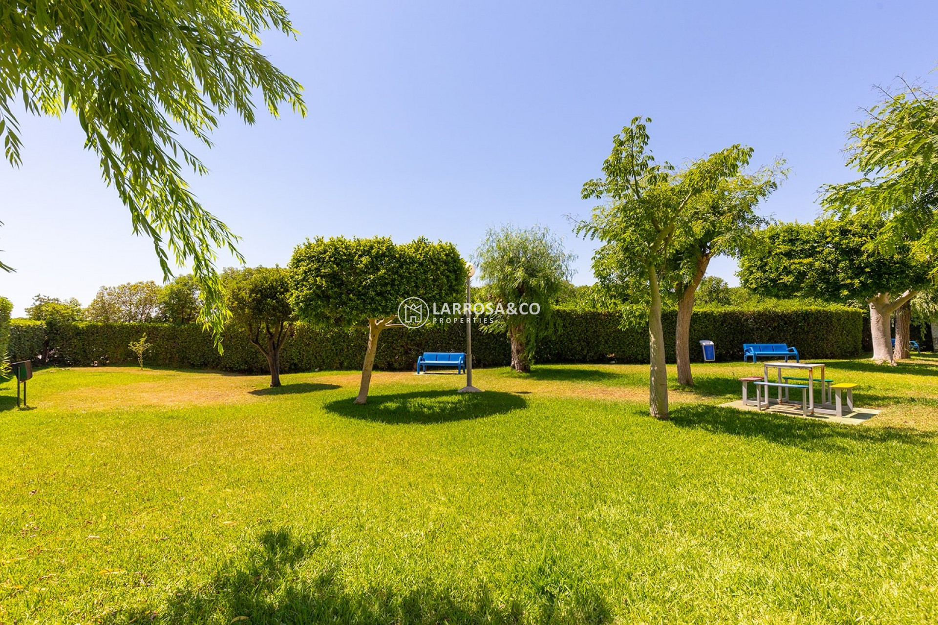 A Vendre - Apartment - La Mata - Costa Blanca