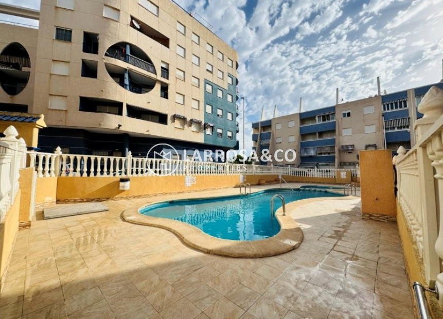A Vendre - Apartment - La Mata - Costa Blanca