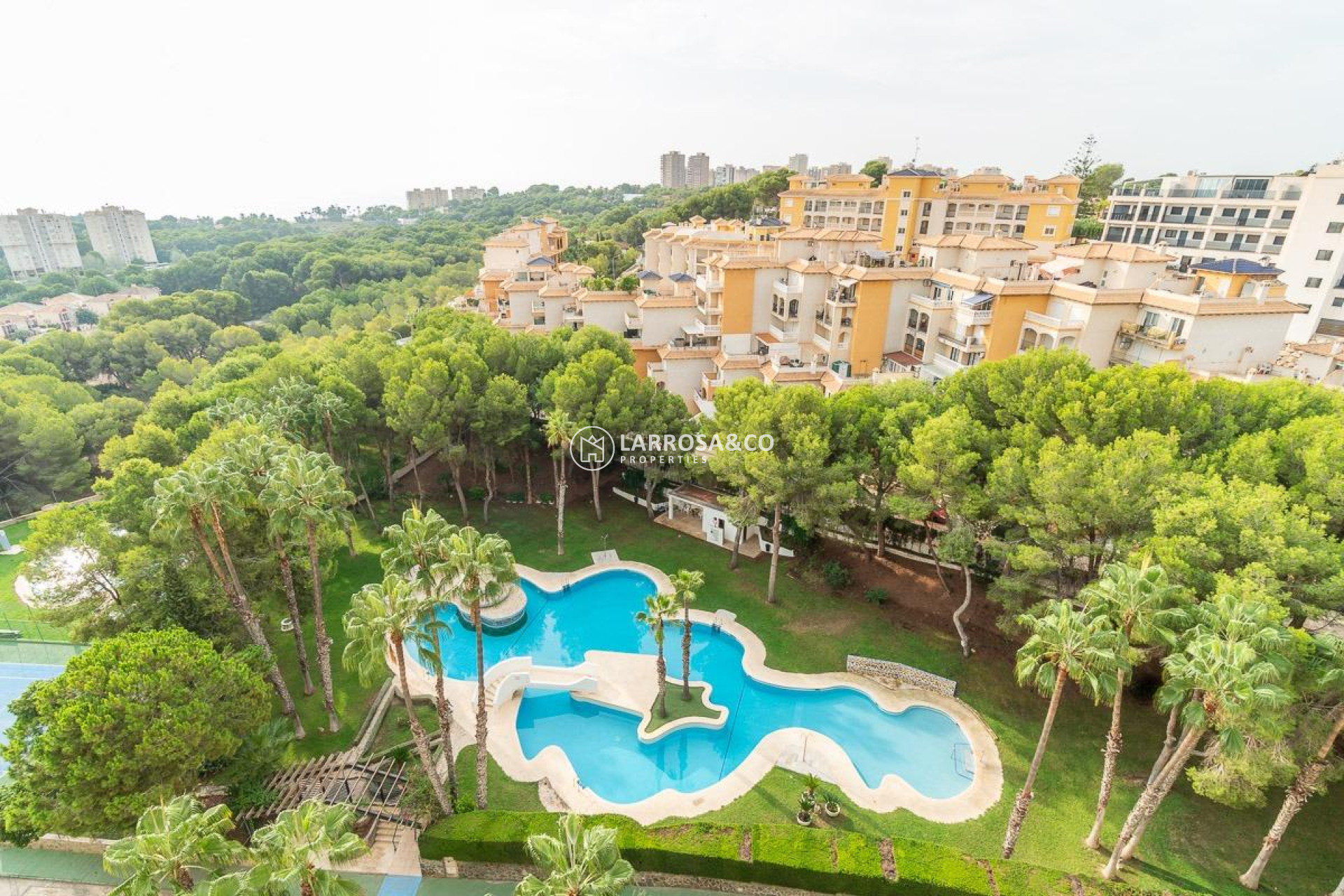 A Vendre - Apartment - Orihuela costa - Campoamor