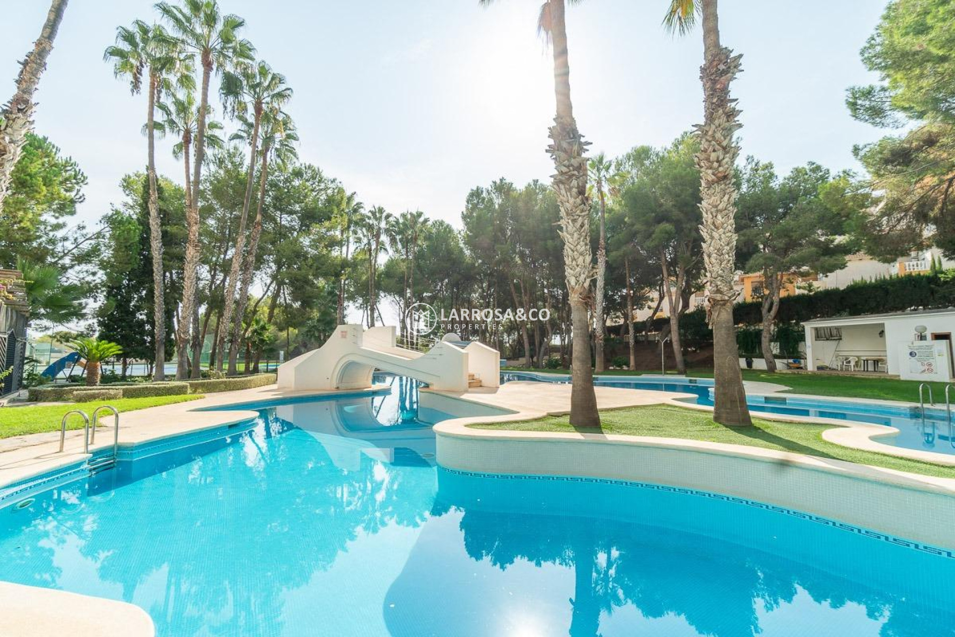 A Vendre - Apartment - Orihuela costa - Campoamor