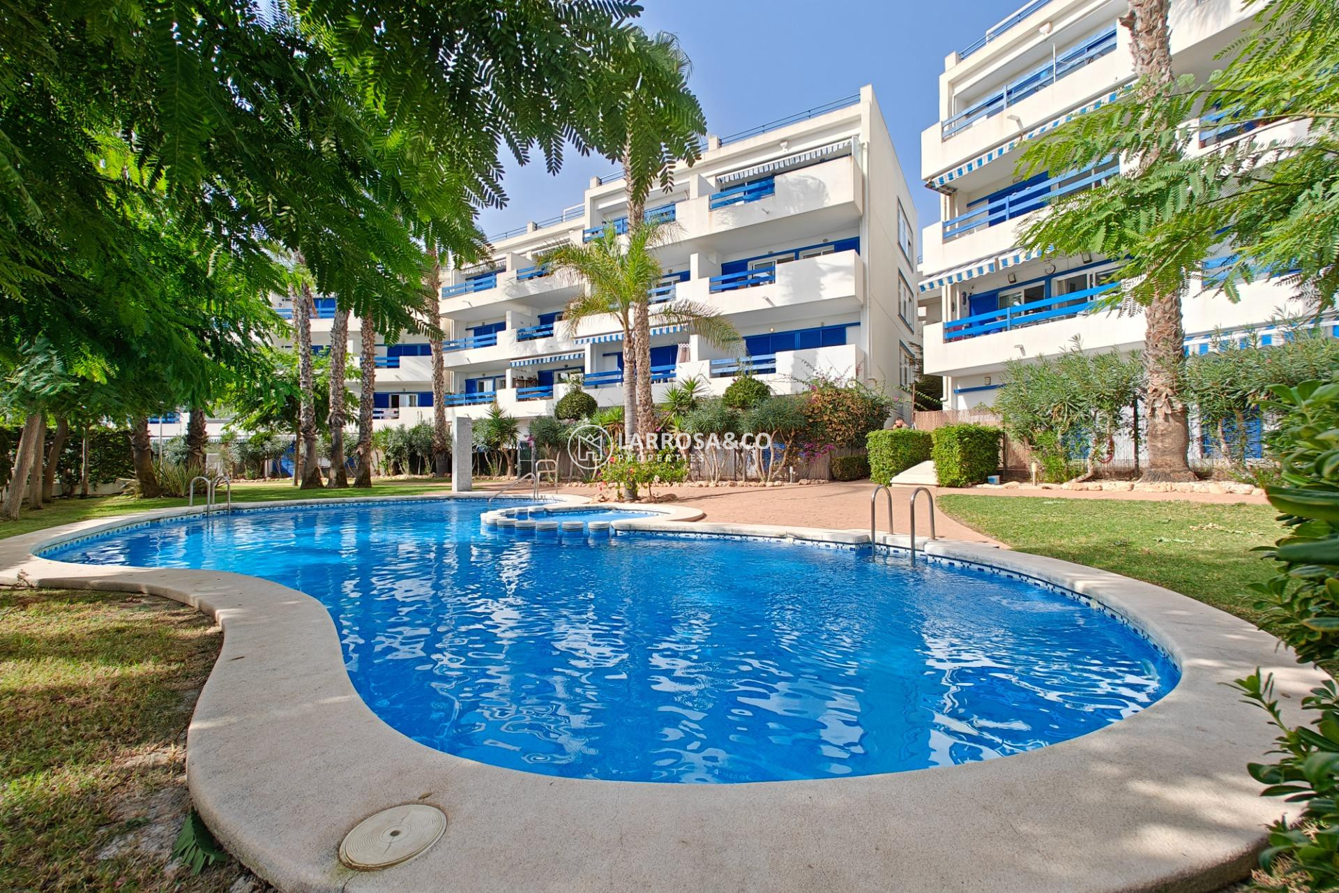 A Vendre - Apartment - Orihuela costa - Playa Flamenca