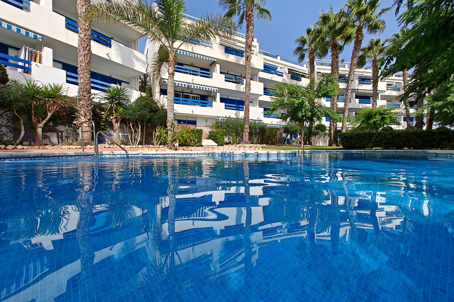 A Vendre - Apartment - Orihuela costa - Playa Flamenca