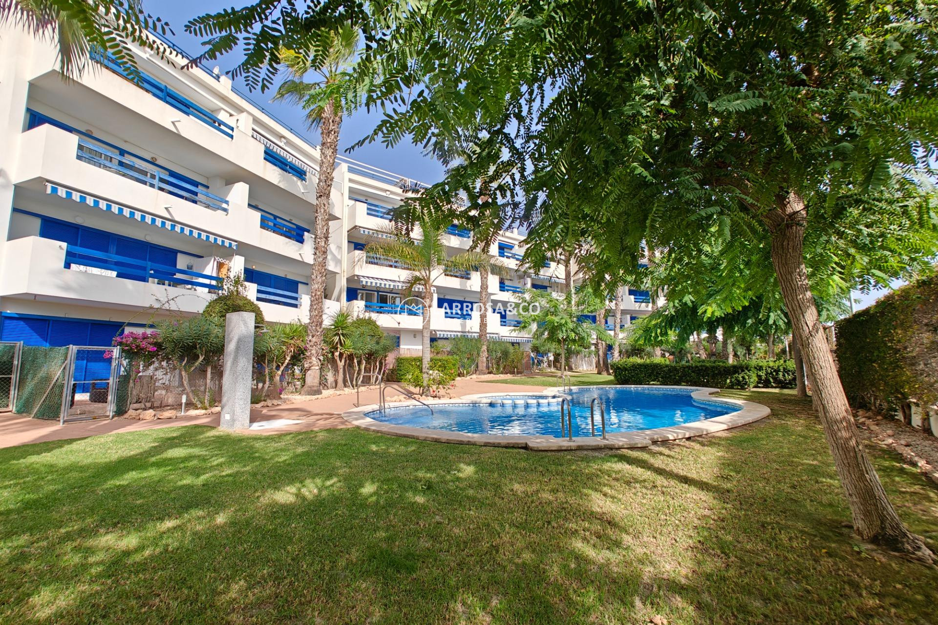 A Vendre - Apartment - Orihuela costa - Playa Flamenca