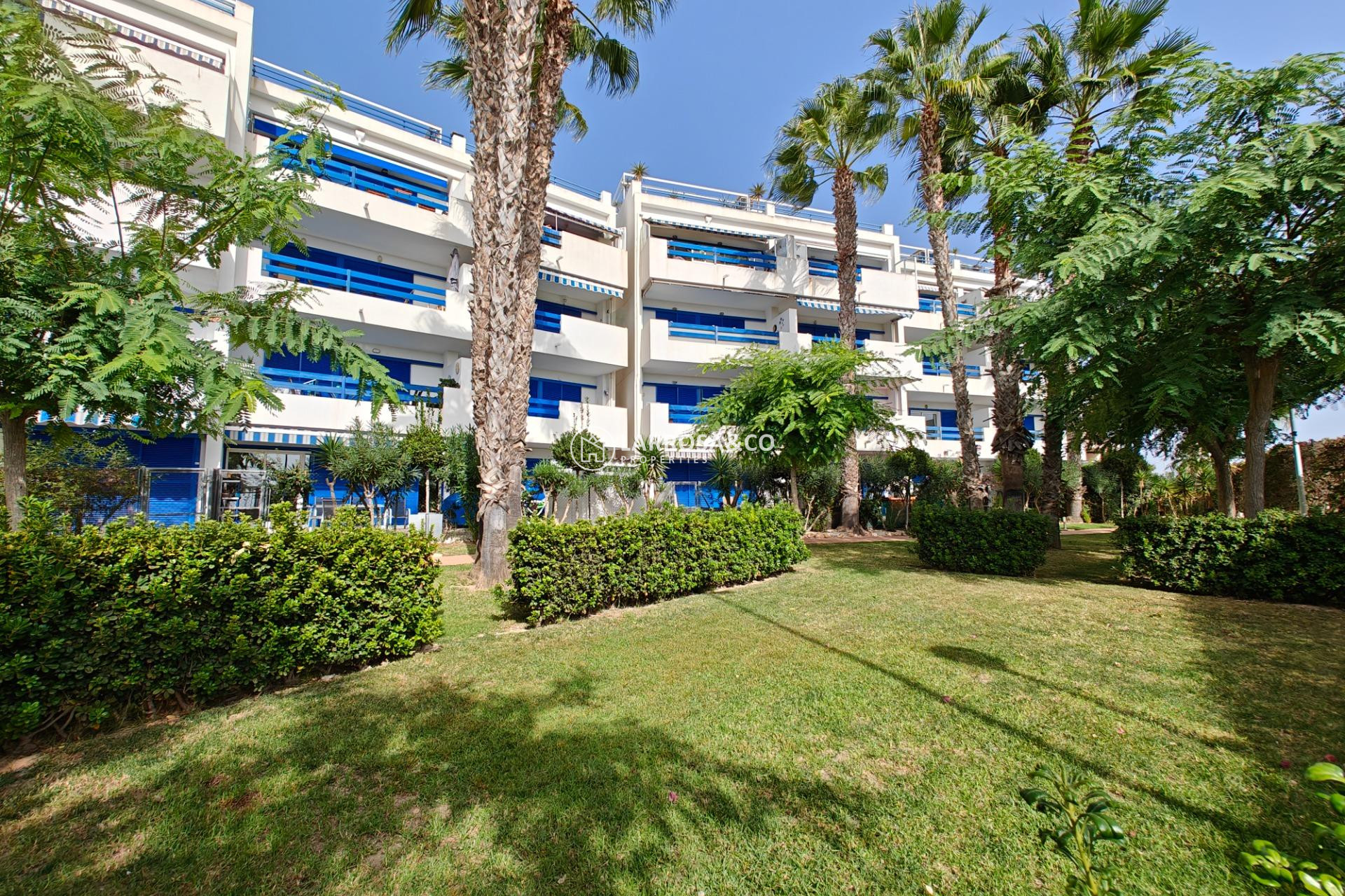 A Vendre - Apartment - Orihuela costa - Playa Flamenca