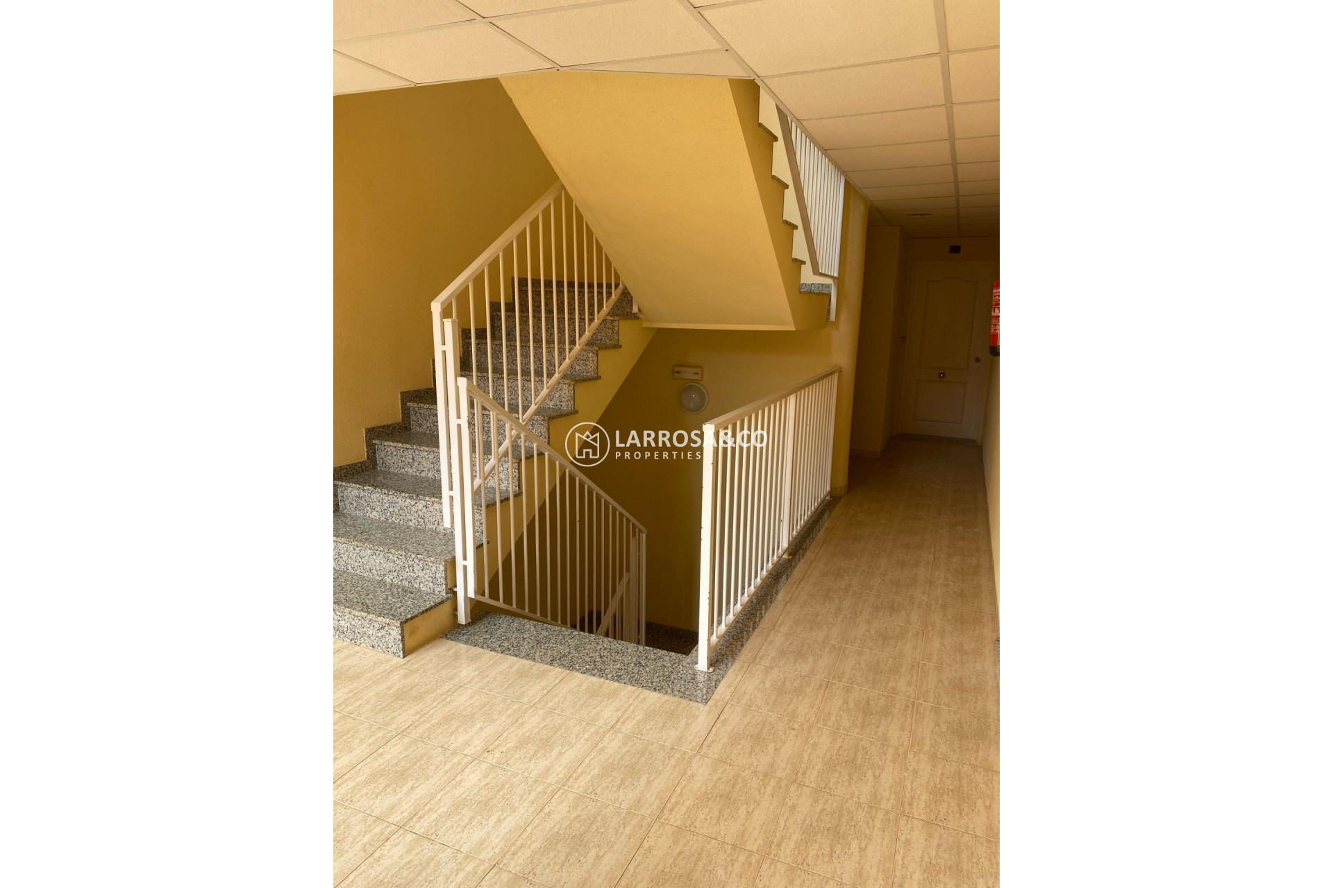 A Vendre - Apartment - San Miguel de Salinas - Pueblo 9