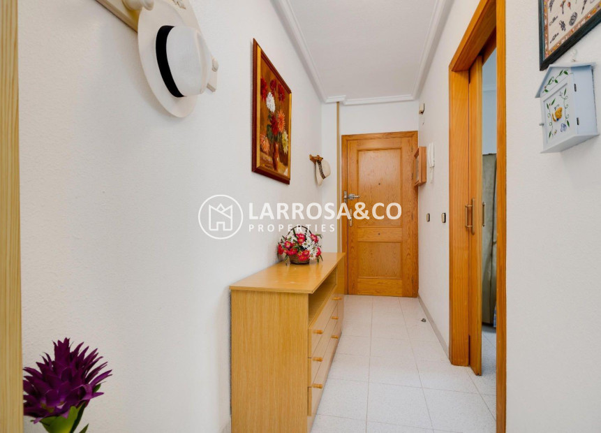 A Vendre - Apartment - Torrevieja - Acequion