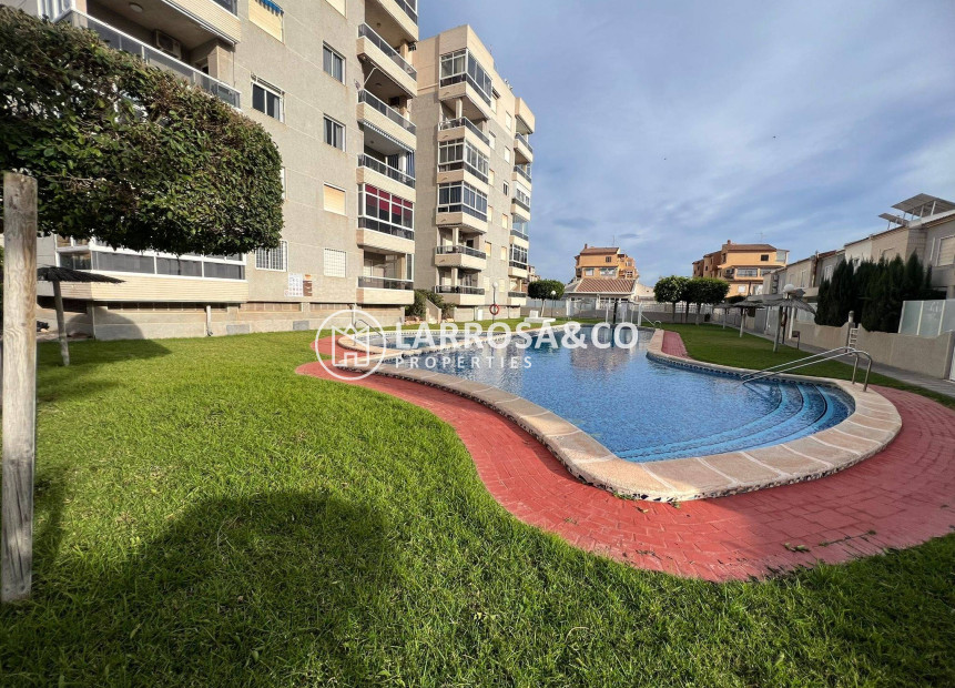 A Vendre - Apartment - Torrevieja - Aguas Nuevas
