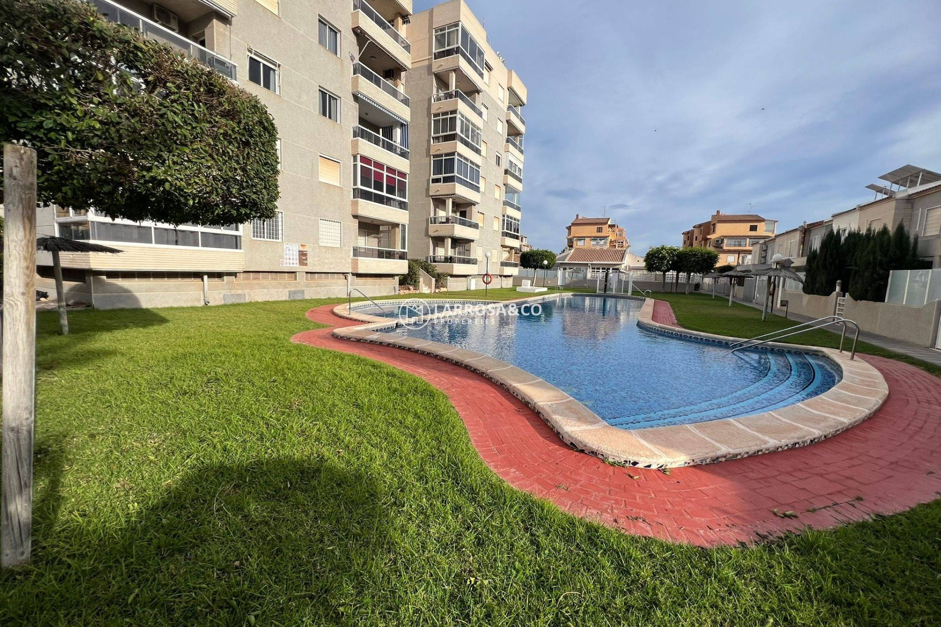 A Vendre - Apartment - Torrevieja - Aguas Nuevas