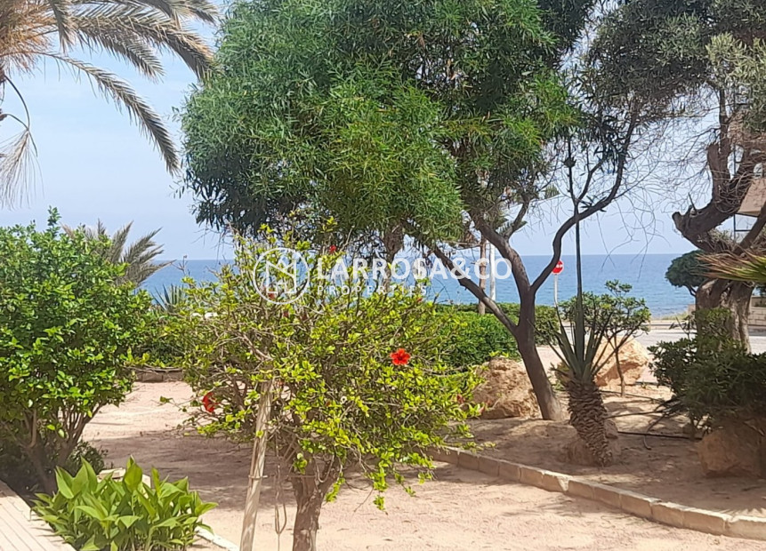 A Vendre - Apartment - Torrevieja - Cabo cervera