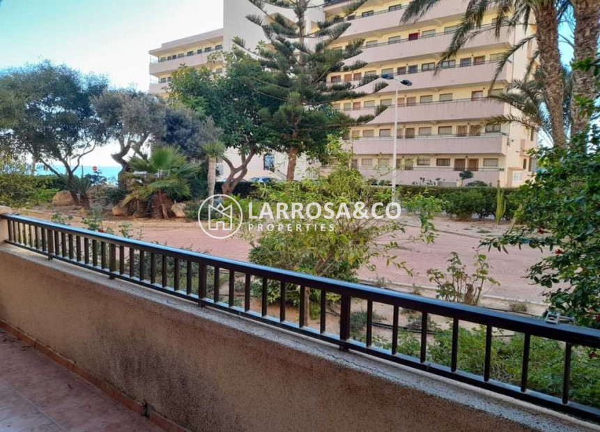 A Vendre - Apartment - Torrevieja - Cabo cervera