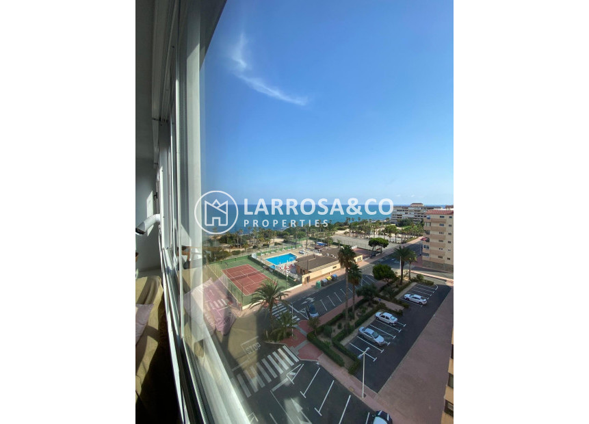 A Vendre - Apartment - Torrevieja - Cabo cervera