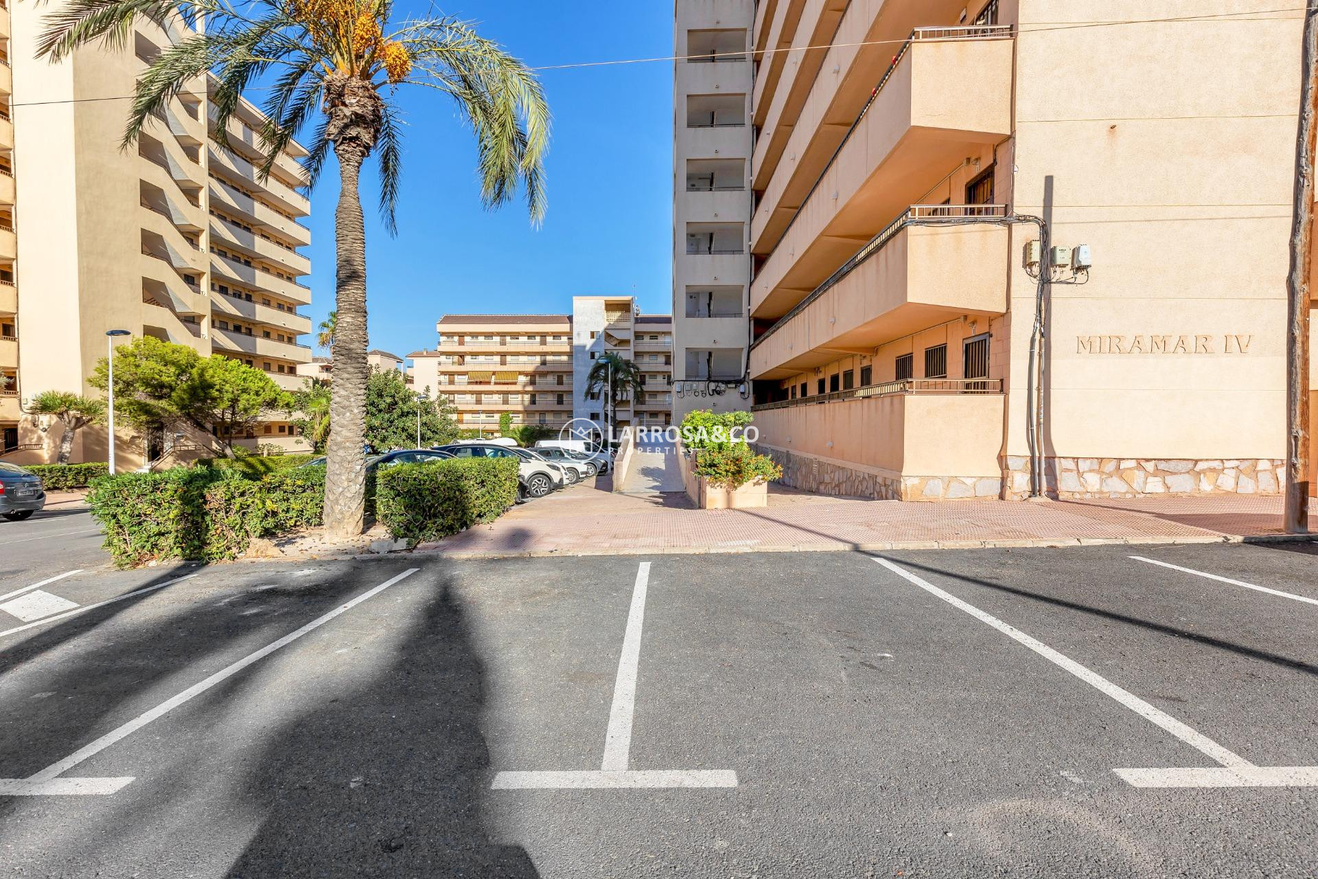 A Vendre - Apartment - Torrevieja - Cabo cervera