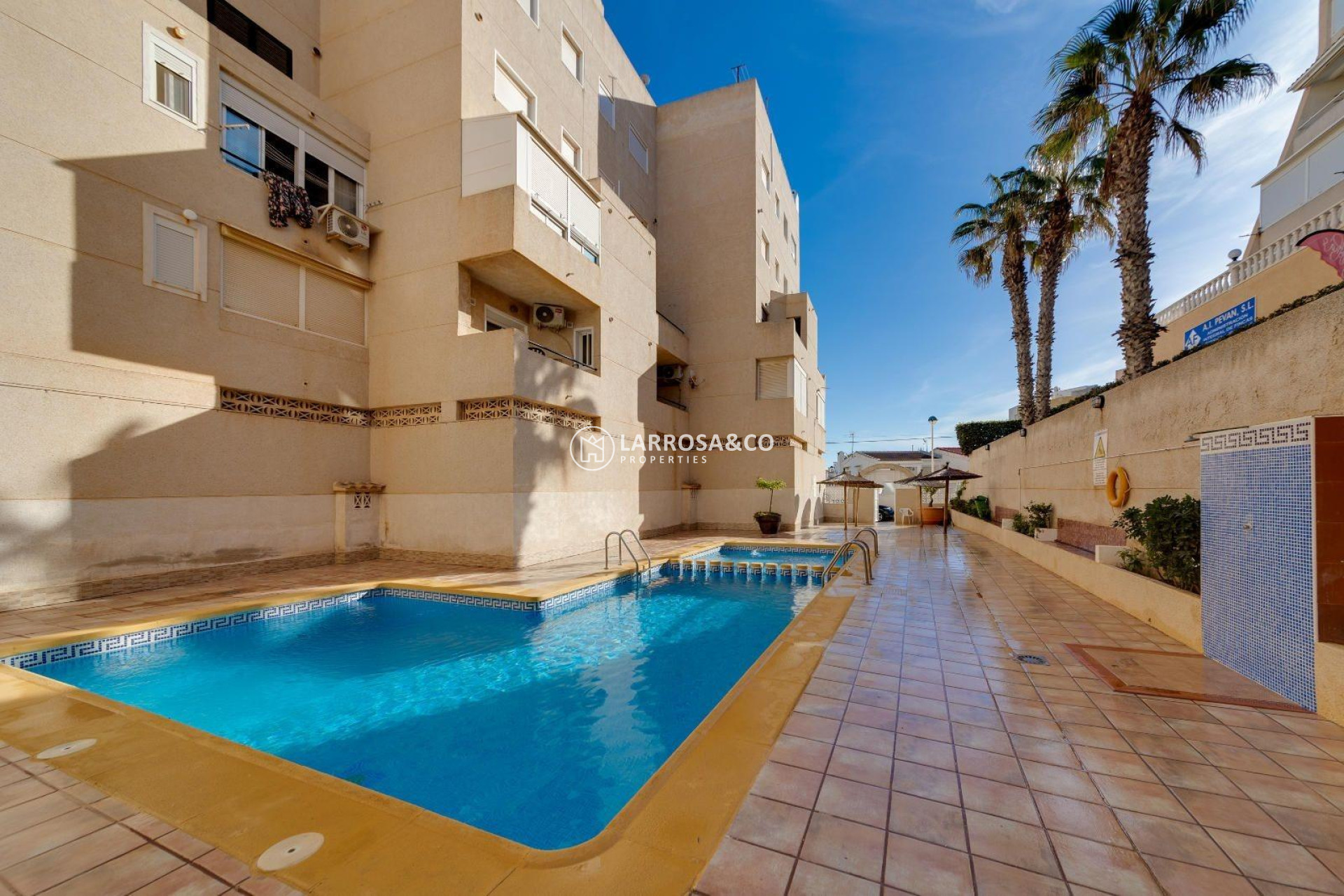A Vendre - Apartment - Torrevieja - Cabo cervera