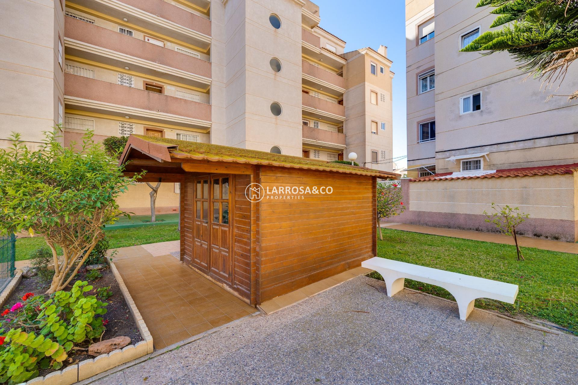 A Vendre - Apartment - Torrevieja - Calas blanca