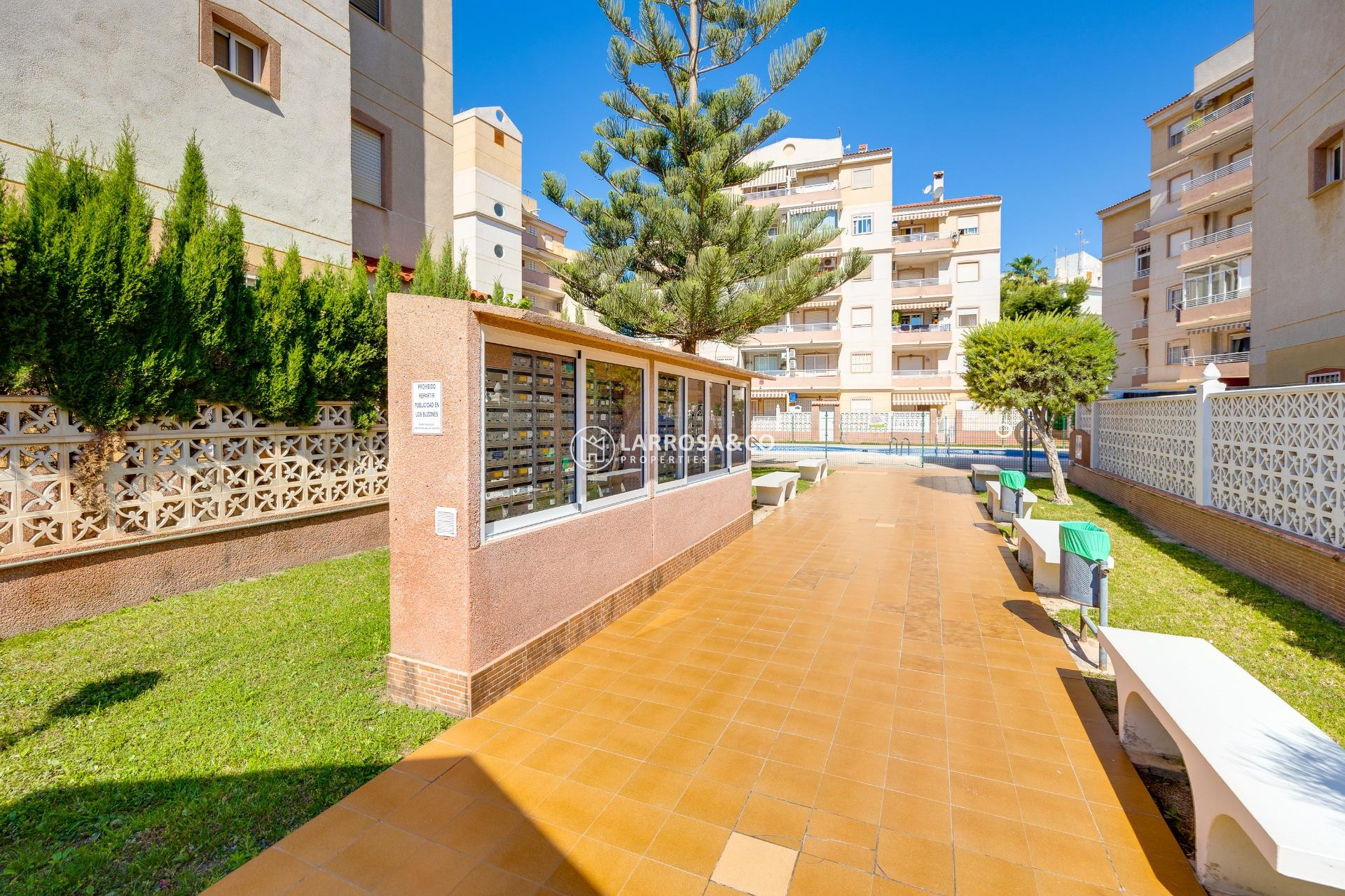 A Vendre - Apartment - Torrevieja - Calas blanca