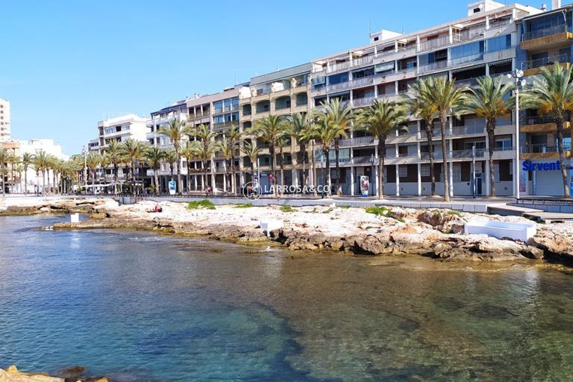 A Vendre - Apartment - Torrevieja - CENTRO CASCO URBANO