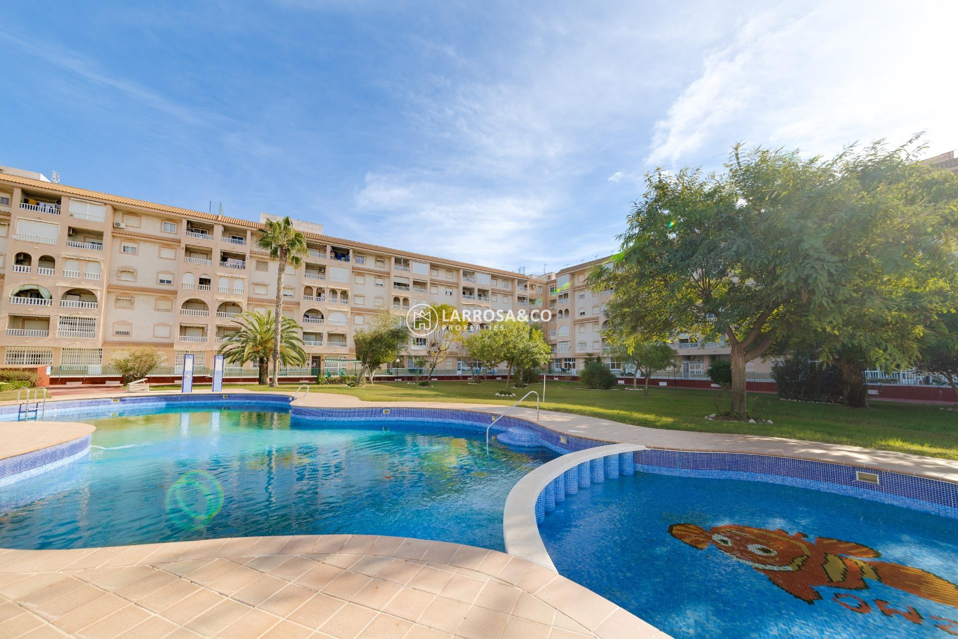 A Vendre - Apartment - Torrevieja - Centro