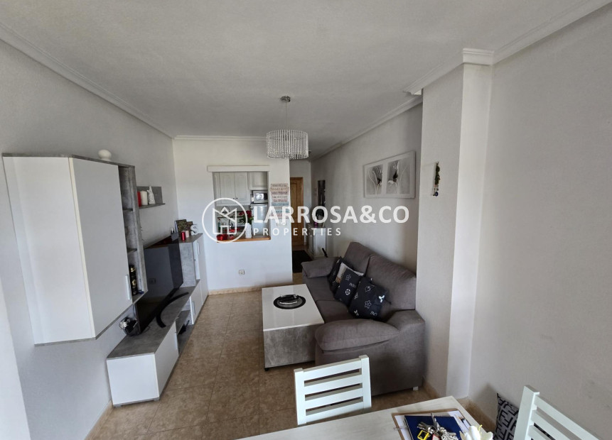 A Vendre - Apartment - Torrevieja - Centro