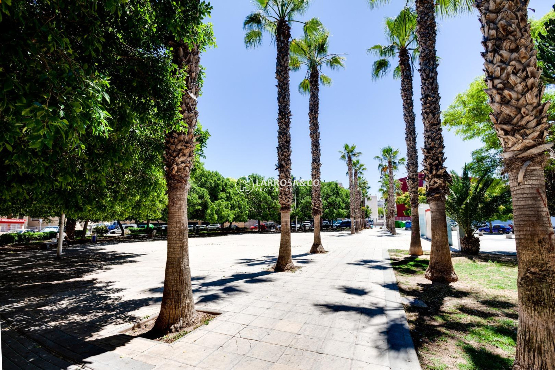 A Vendre - Apartment - Torrevieja - Centro