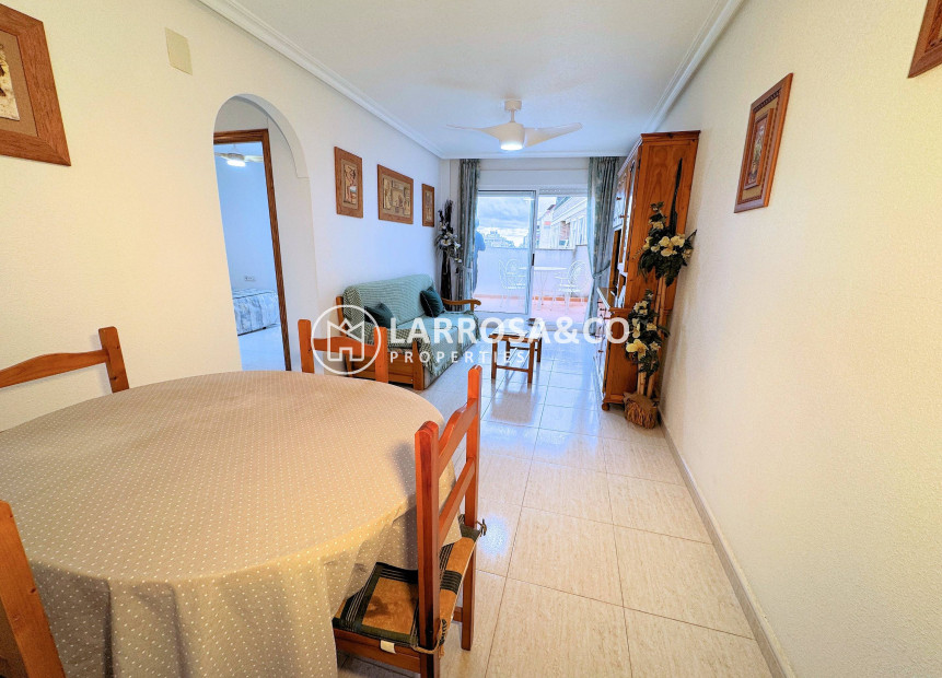 A Vendre - Apartment - Torrevieja - Centro